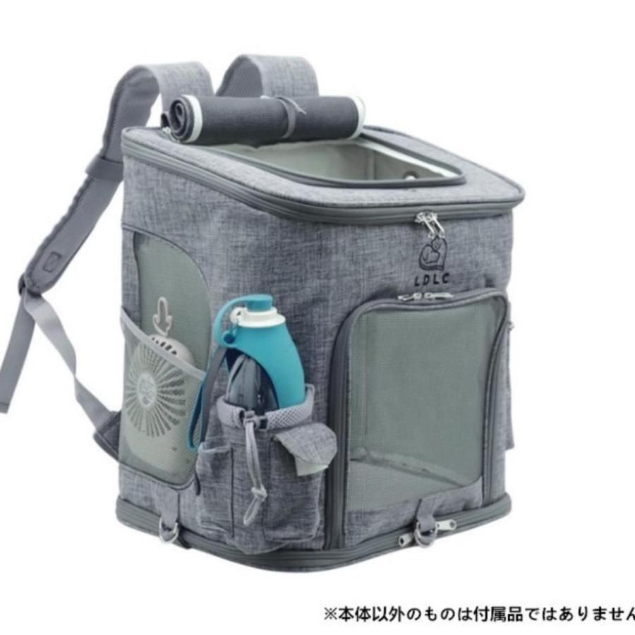 散歩 通院