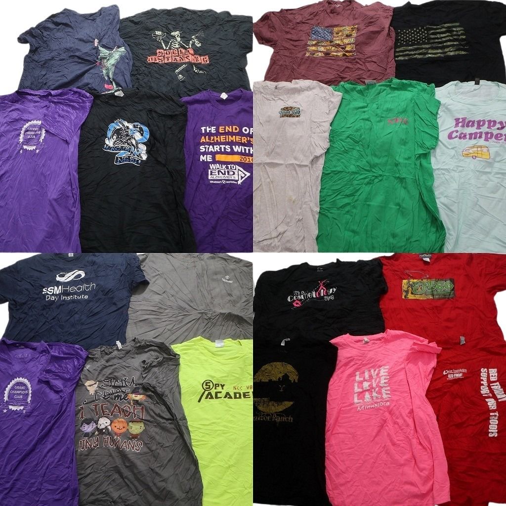 古着卸 まとめ売り カラーMix プリント 半袖Tシャツ 20枚セット (メンズ 3XL ) スカル 企業 スバル 星条旗 英文字 中古 古着 MY3924