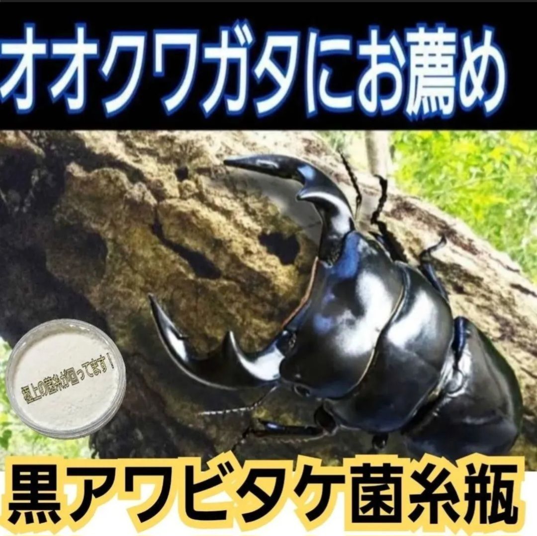 2令にもお薦めです