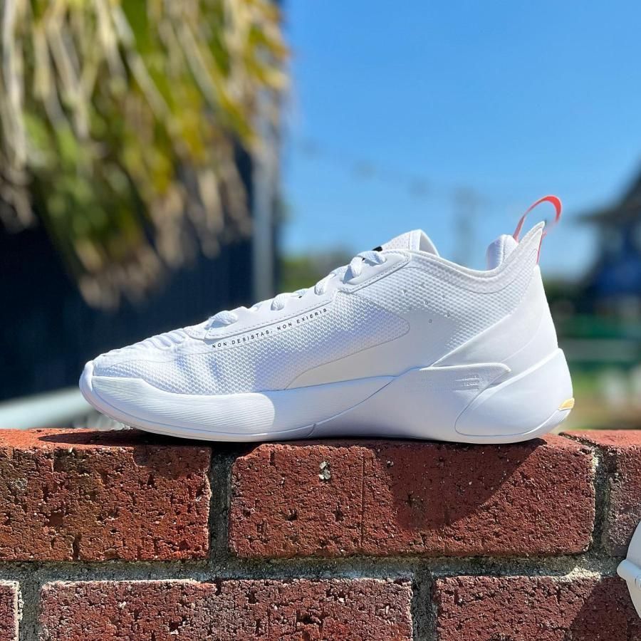 275cmNike Jordan Luka1 white/black