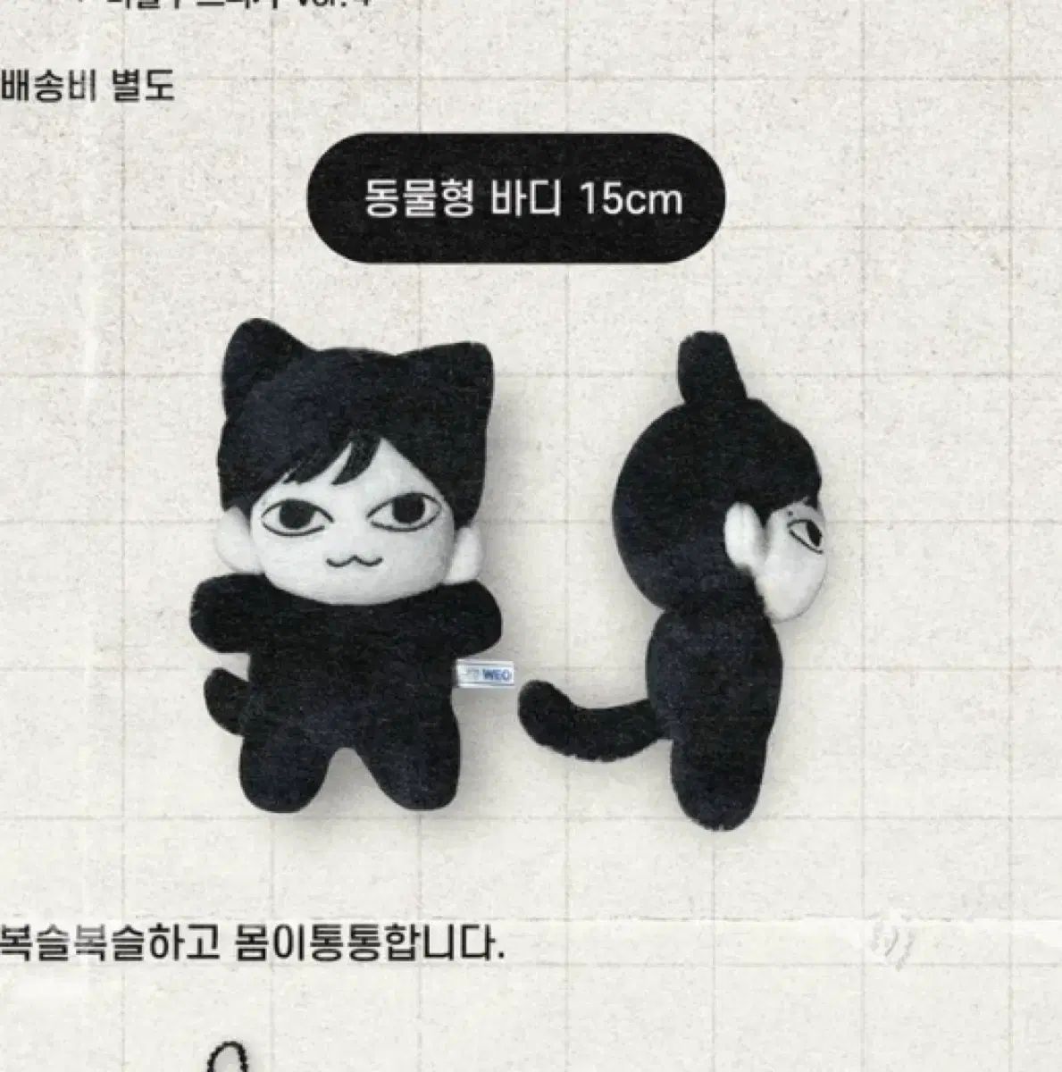 theboyz ヨンフン ぬいぐるみ ドール 10cm 新品 the boyz ヨンフン 10