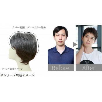 男性用5分ウィッグ レイヤーショート