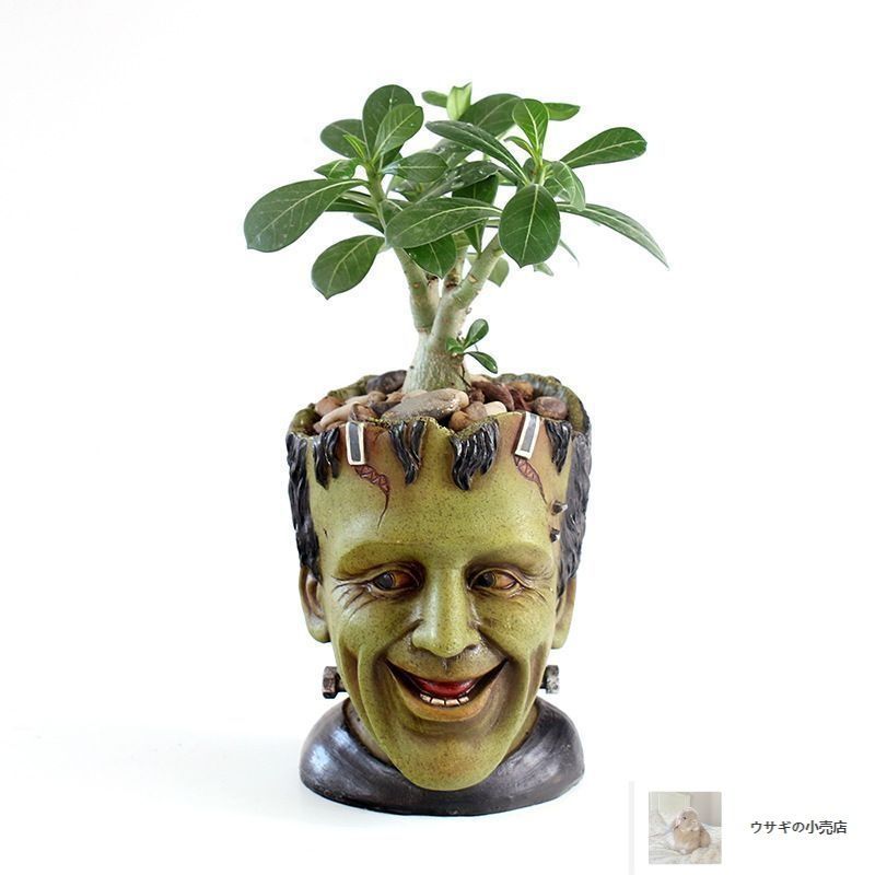 フラワーポッド・フラワーディスプレイ・鉢・観葉植物 ｳｯﾃﾞｨﾌﾗﾜｰｱﾚﾝｼﾞﾎﾟｯﾄS/ｸﾞﾚｰ: フラワーベース・鉢カバー ｜ YDM