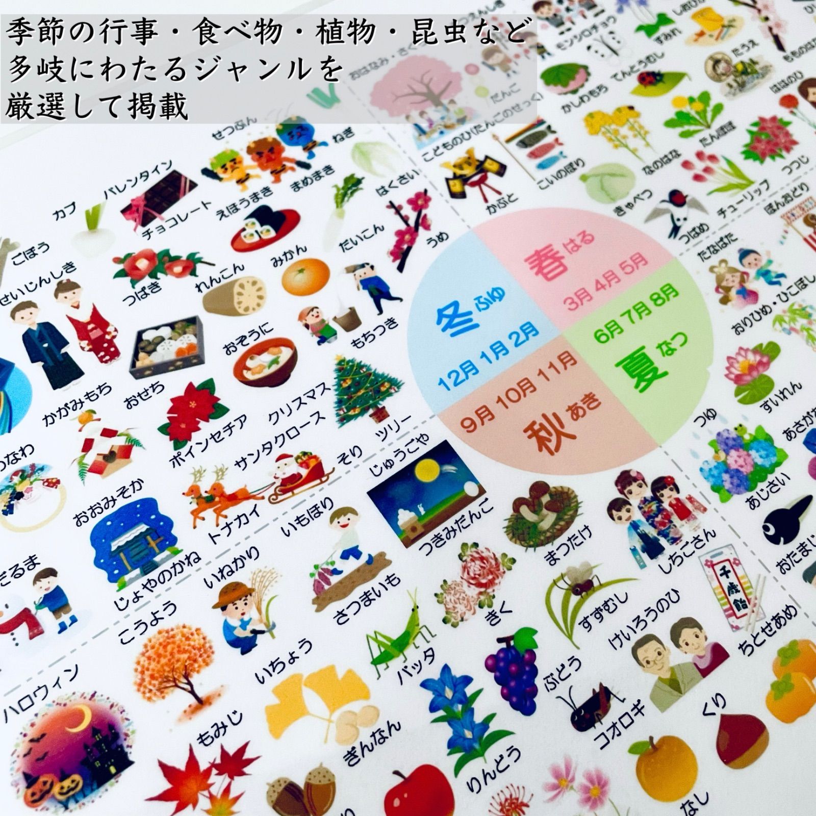 季節 小学校受験教材 理科的常識 きせつカード 幼児教育 知育 四季