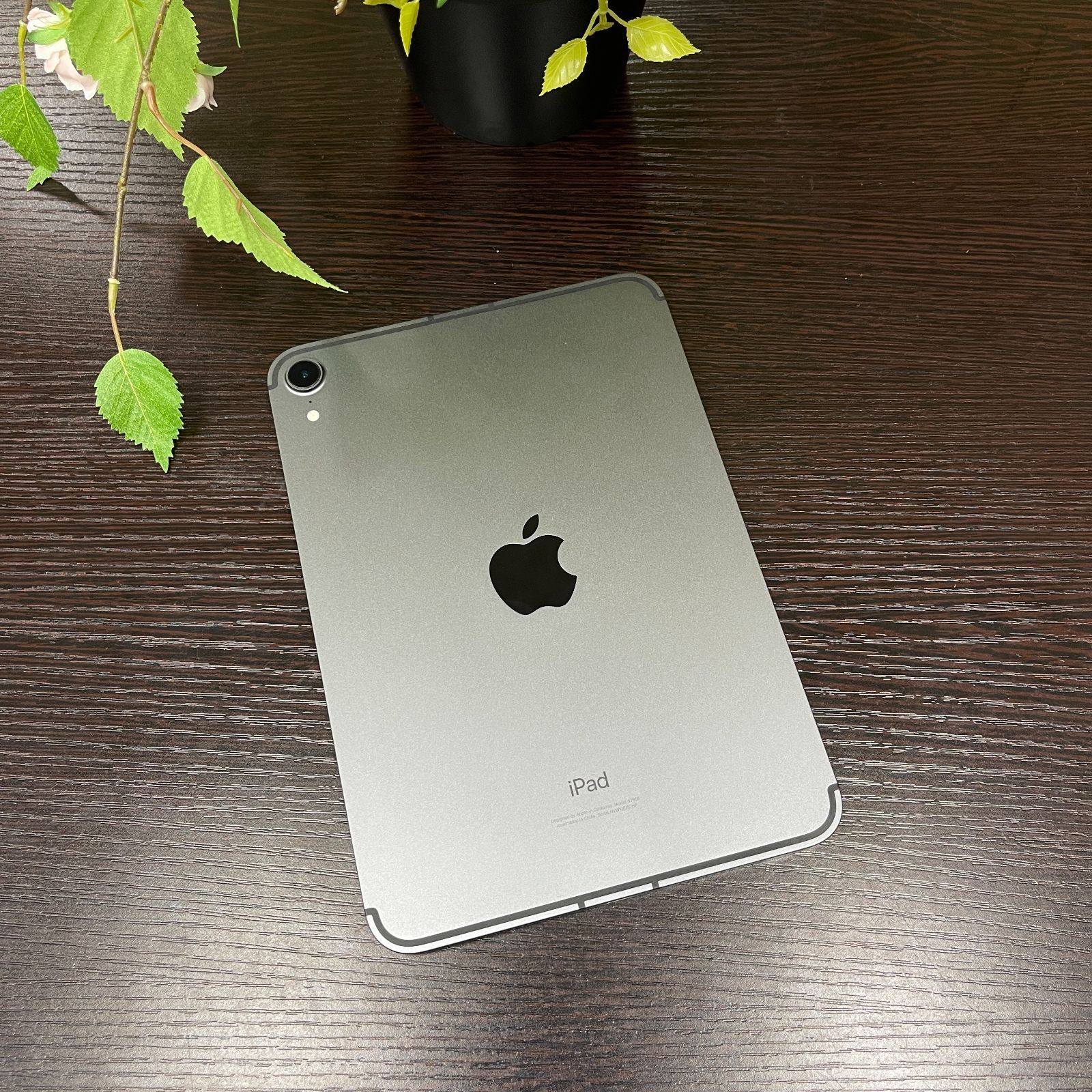 iPad mini6 256gb 美品 スペースグレイ iPad mini 6 Wi-Fi + Cellular 256GB - スペースグレイ [整備済