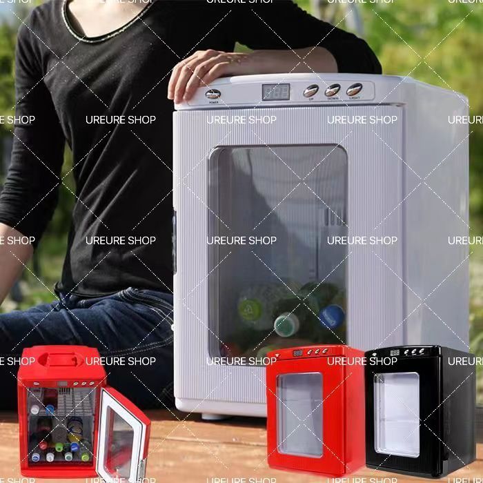 ポータブル 保冷温庫 ブラック 25L 小型 冷温庫 保冷 保温 AC DC 2電源式