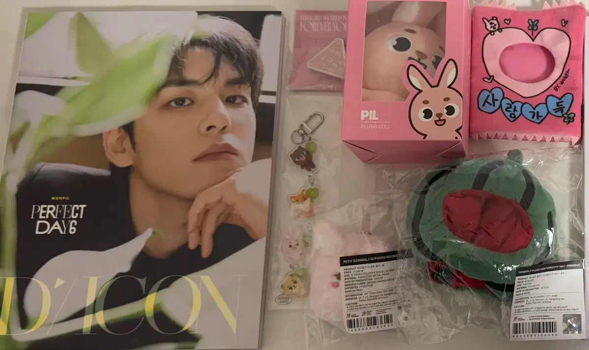 DAY6 デイシックス デニマルズ DENIMALZ ウォンピル WONPIL