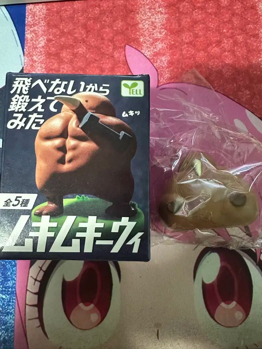 人気定番，送料無料 キーウィ 새 가챠 その他