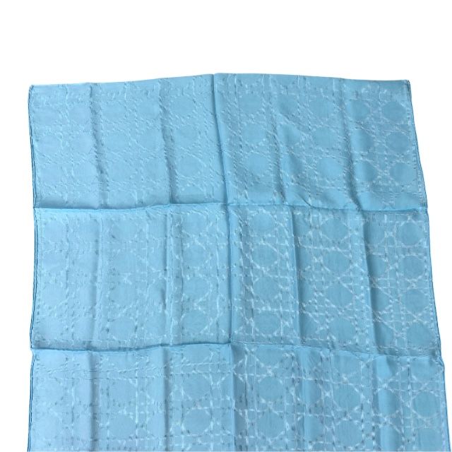 54NUA304I631 クリスチャンディオール