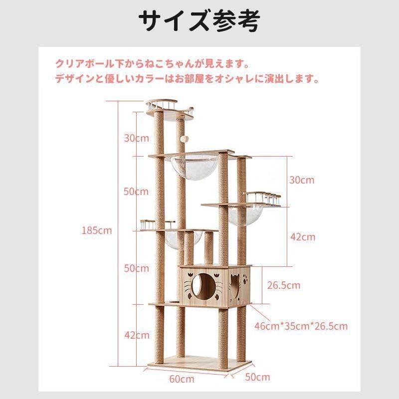 ネコ 猫用