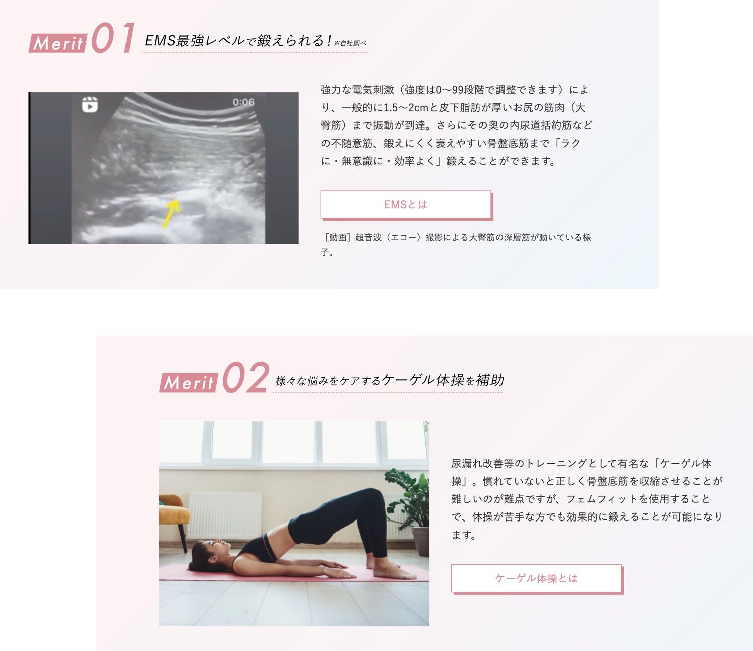 BODYDOCTOR femfit カンタン＆座るだけ EMS 骨盤底筋 トレーナー