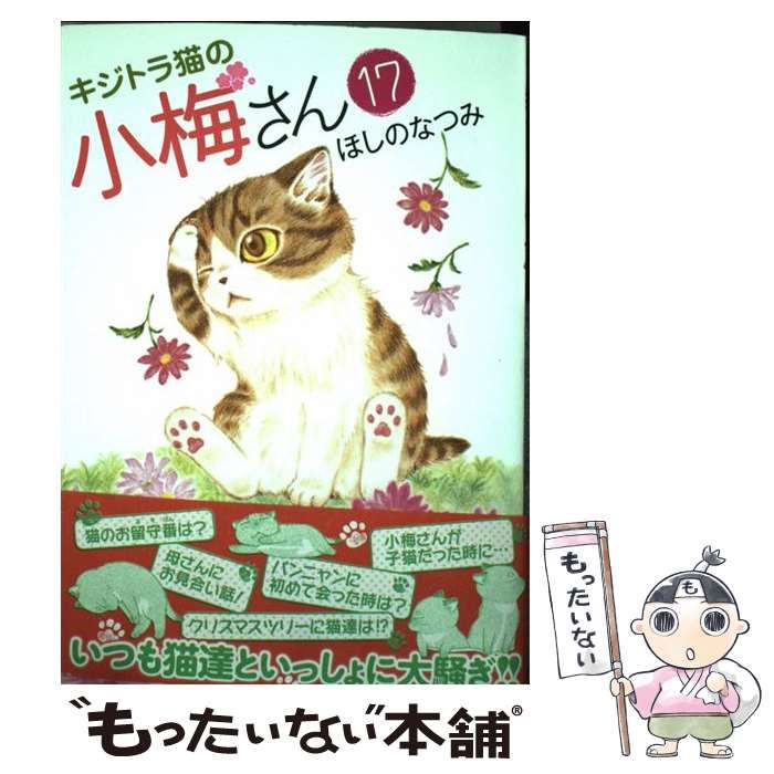【中古】 デラックスねこぱんちキジトラ猫の小梅さん ’１７/少年画報社/ほしのなつみ 中古】 デラックスねこぱんちキジトラ猫の小梅さん '19/少年画