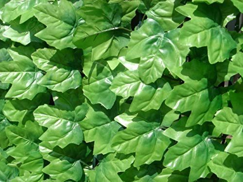 Out 目隠しグリーンフェンス リビングアウト Living ダークグリーン 1×3m MARWIL-DEMENAGEMENTS_CH