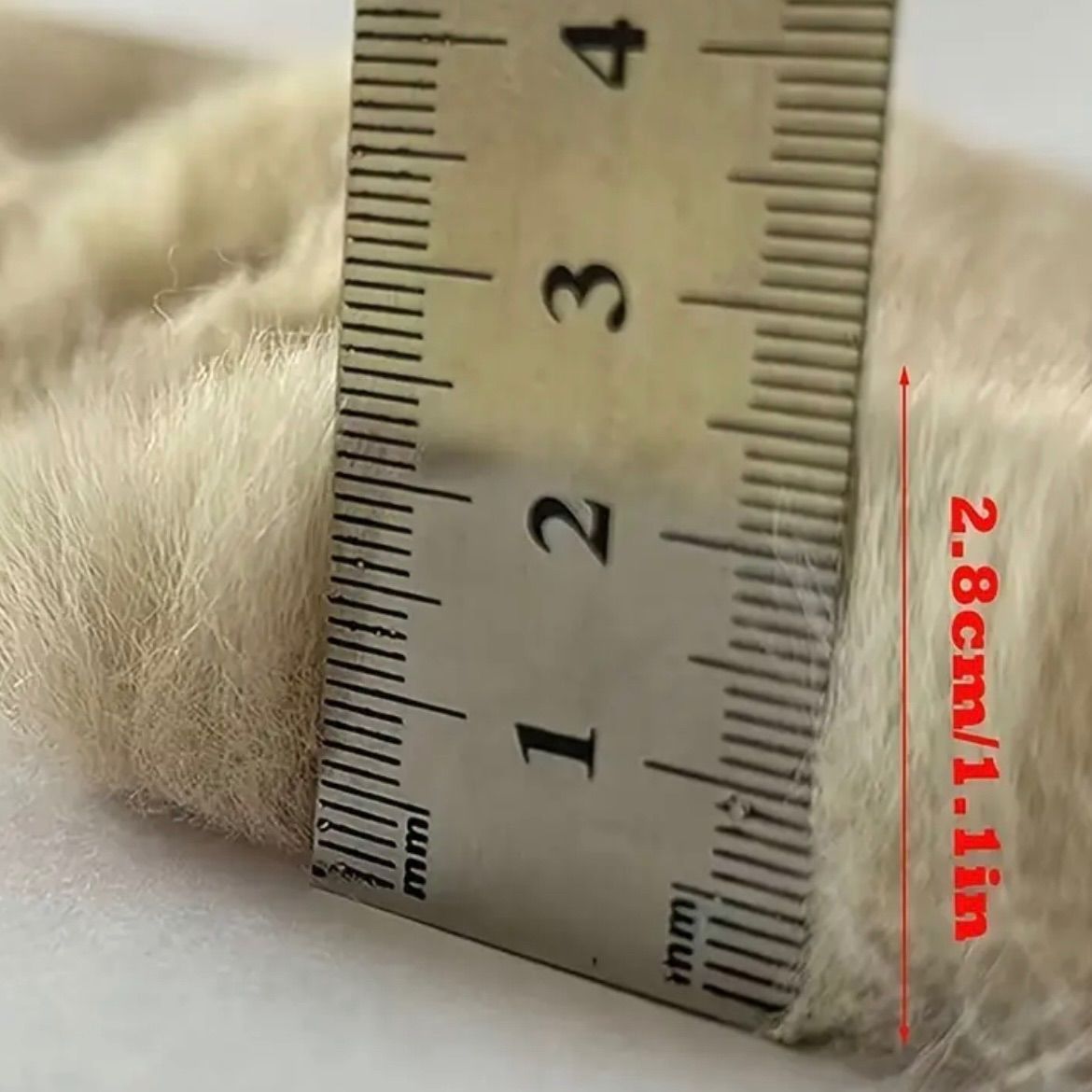 丸型1枚