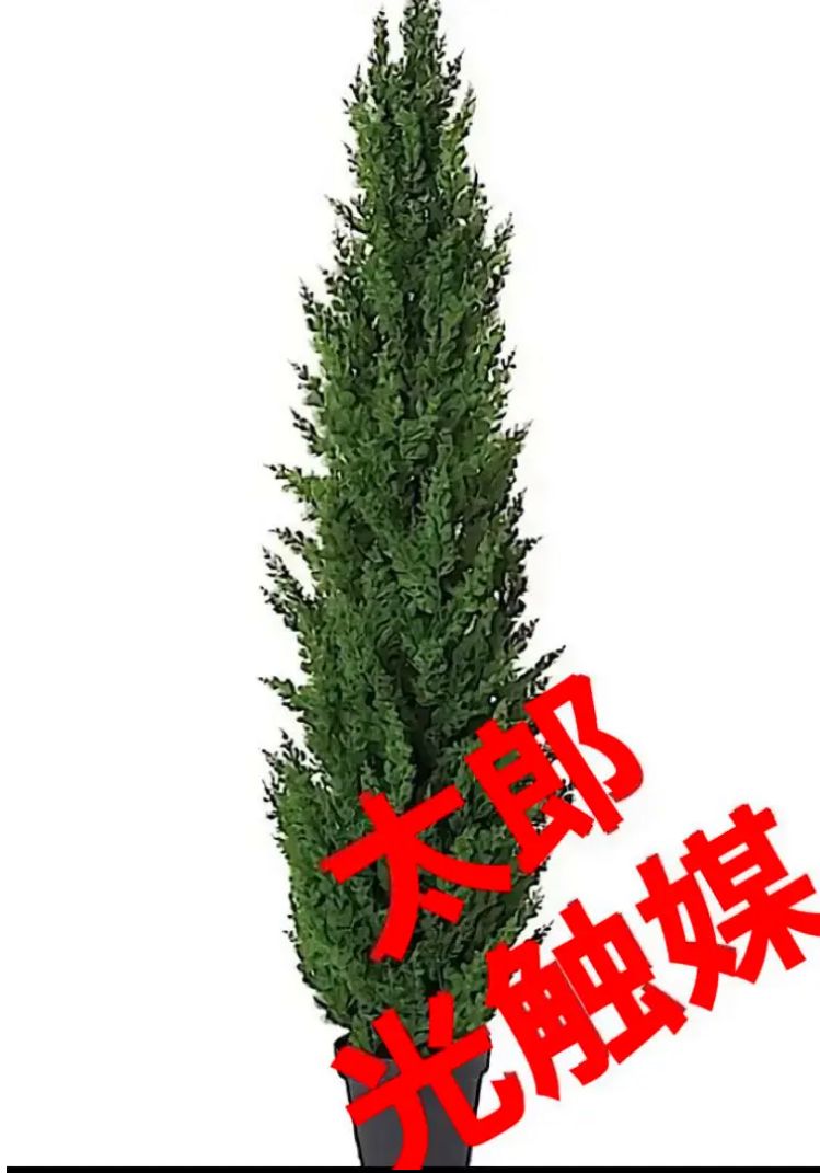 光触媒人工観葉植物ウォールグリーンフェイクグリーンサイプレスポット150