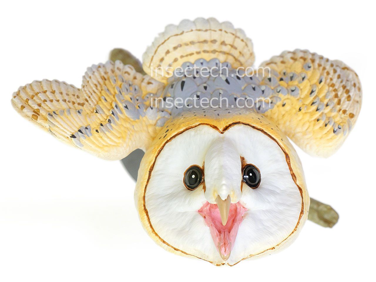 動物の惑星】メンフクロウ 動物の惑星】「WF2025S限定」メンフクロウ