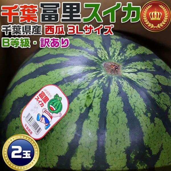 お中元 冨里スイカ 千葉県産 富里すいか B等級(訳あり) 3Lサイズ 8～9kg × 2玉セット お買得アウトレット 11610393-11 初夏ギフト 遅れてごめんね父の日 ギフト プレゼント 国産 果物 フルーツ 国内産