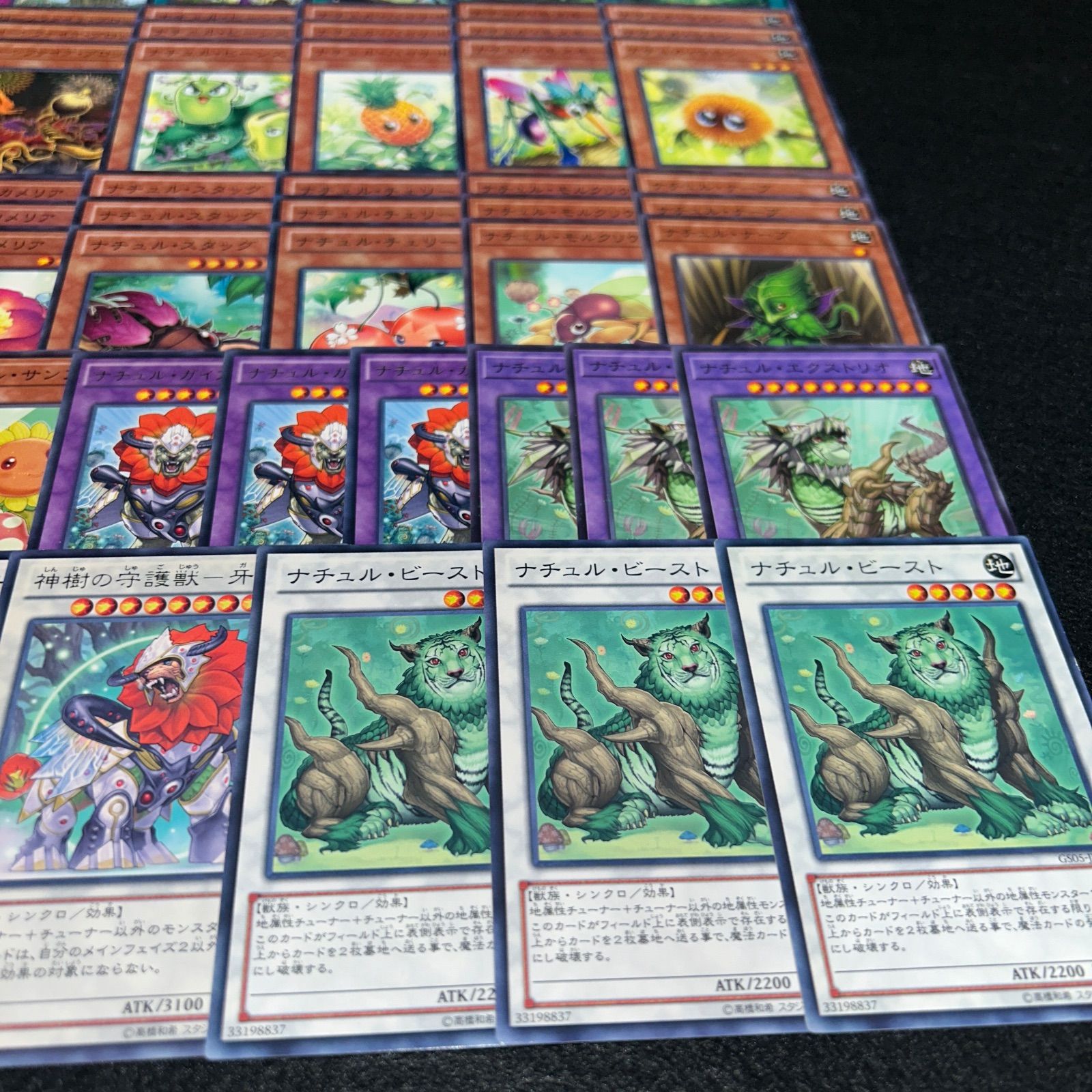 No.PP14 遊戯王 ナチュル デッキパーツ 構築用 ナチュルビースト