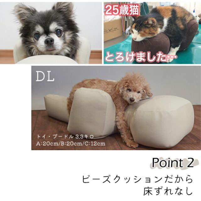リラクッション