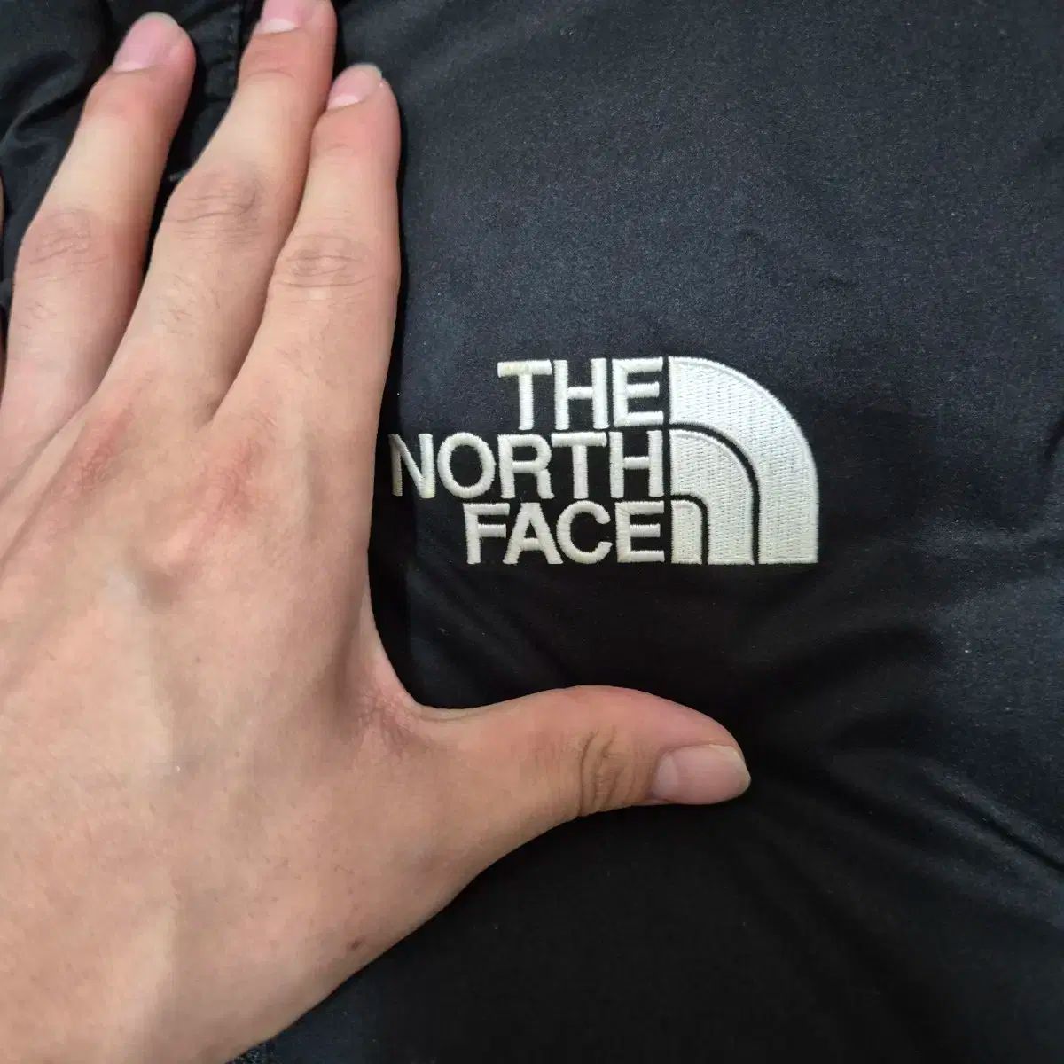 THE NORTH FACE(ザノースフェイス) ドライベント ダウン