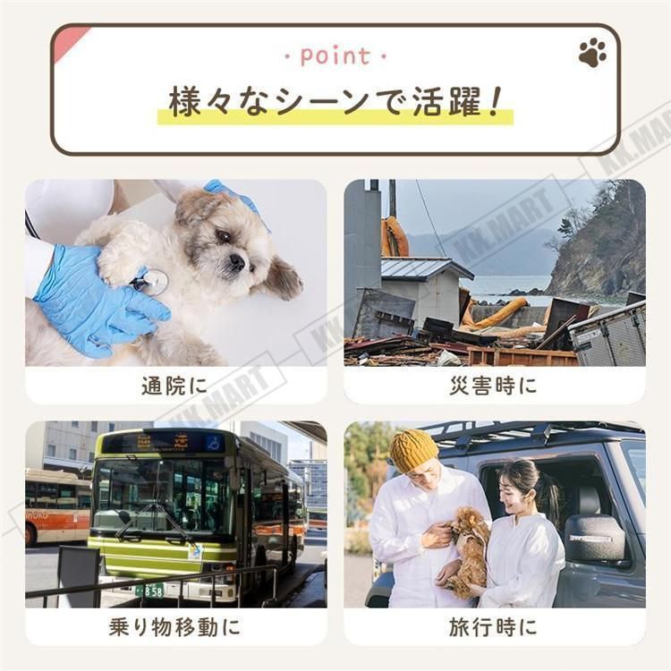 キャリー