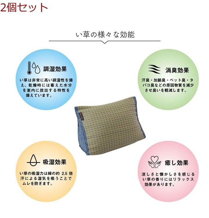 クッションくつろぎ い草 抗菌防臭 シンプル 小林製薬コバガード クリア ゆったりクッション 2個セット