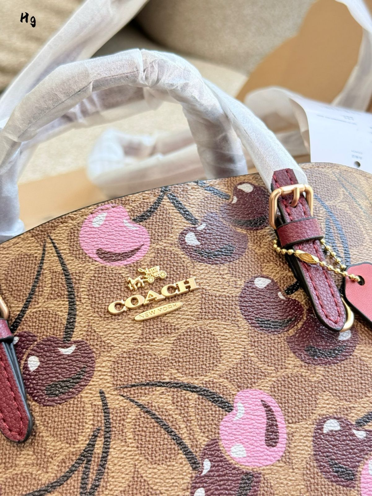 今日特価】チェリーコレクション Coach Mollie 25 トートバッグ