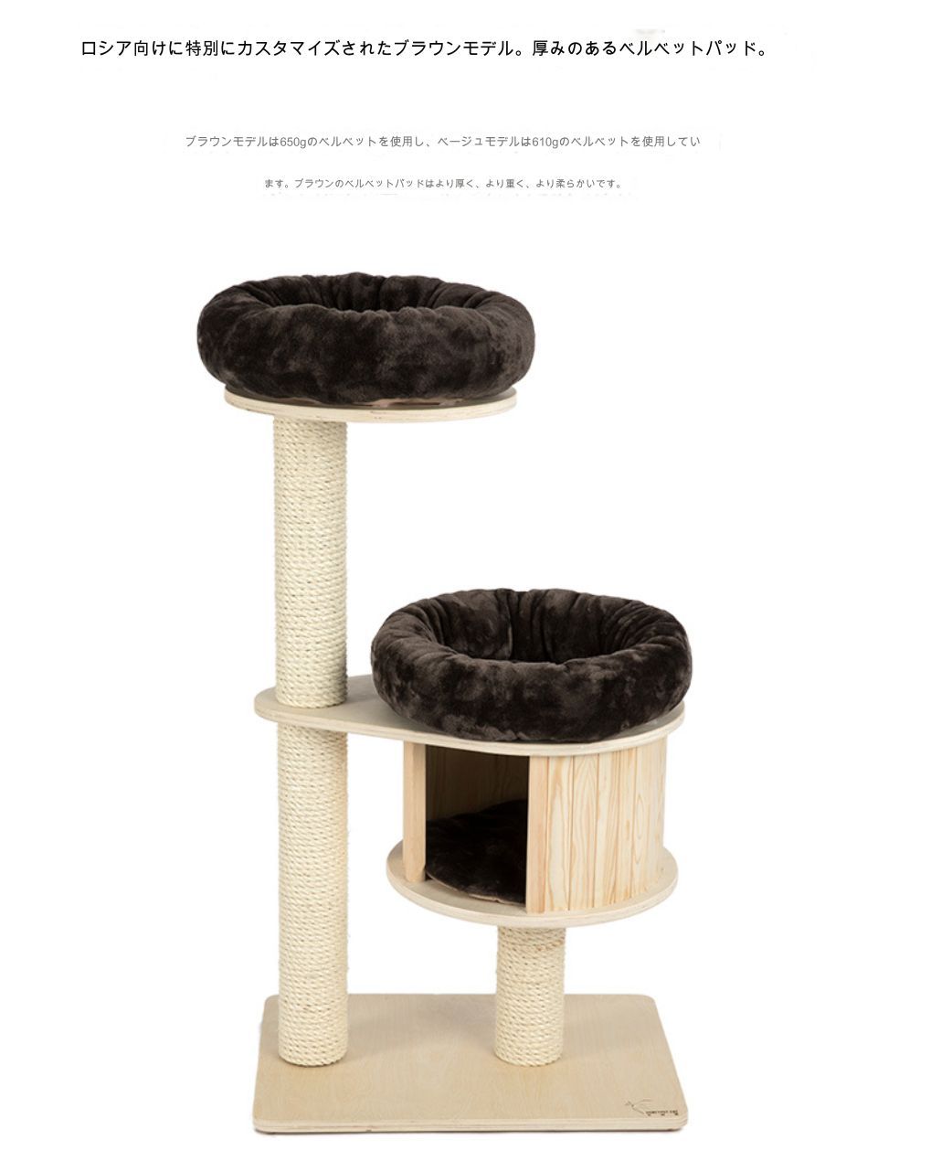 小型猫 中型猫