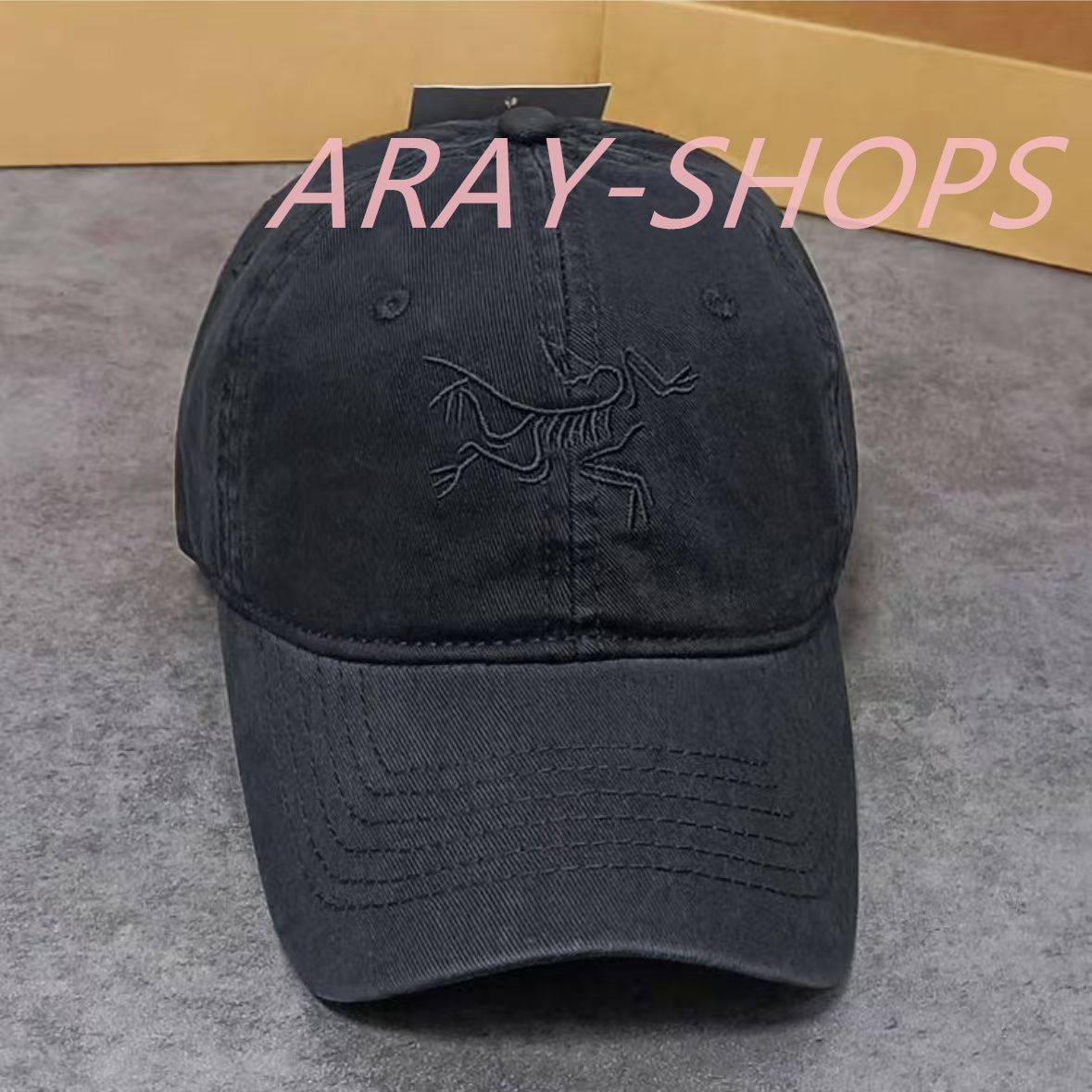 【人気商品・極美品・新品未使用】NEW ARC'TERYX アークテリクス キャップT202