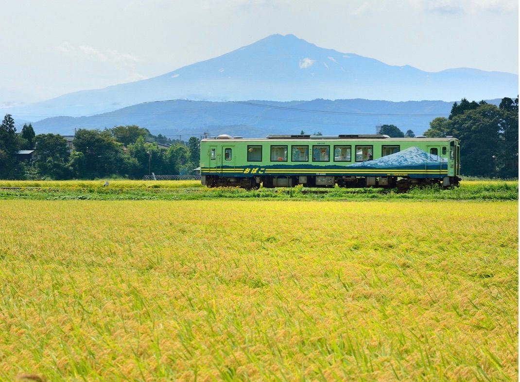 ディスカウント 農家直送‼️秋田県産♦︎新米あきたこまち1.8Kg精米