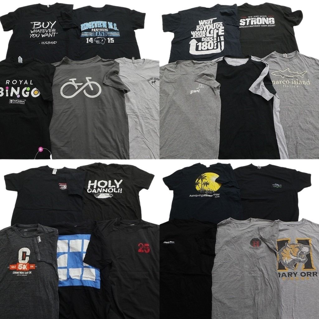 古着卸 まとめ売り 黒・グレー ボディ プリント 半袖Tシャツ 20枚セット (メンズ L ) フルーツオブザルーム カレッジ風 中古 古着 MX9799