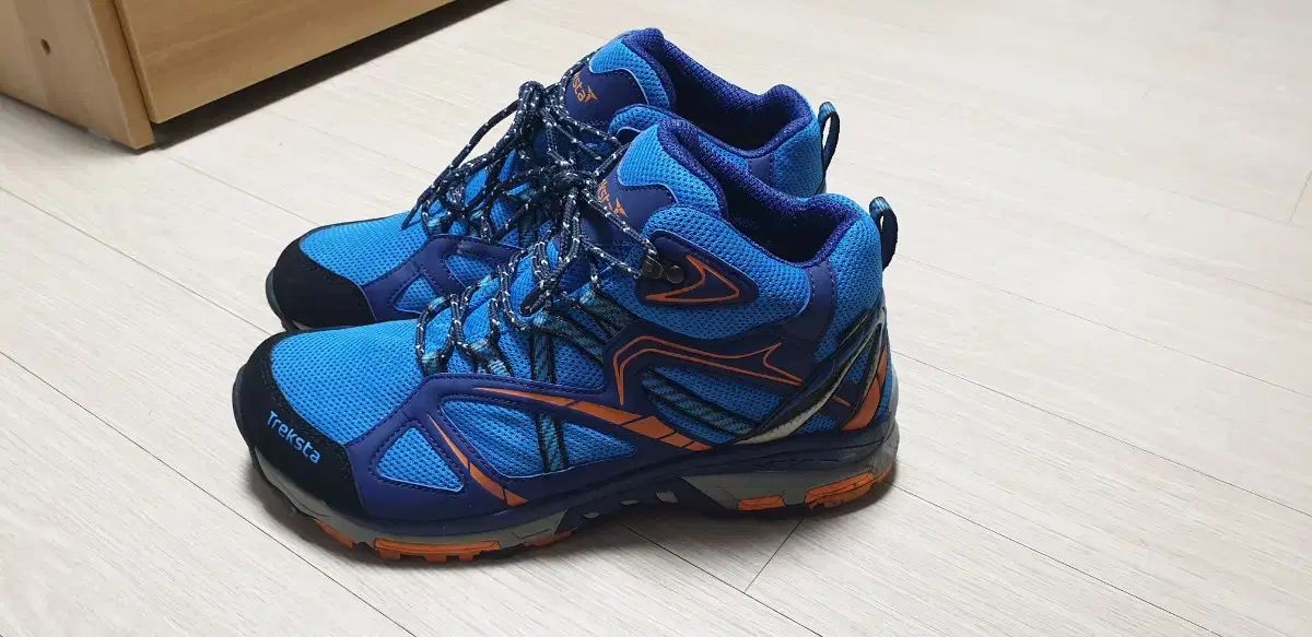 Treksta トレクスタ ゴアテックスシューズ サイズ 28cm ブルーグレー系 メンズ ネバド レース LOW GTX Treksta トレッキングシューズ | 株式会社エバニュー