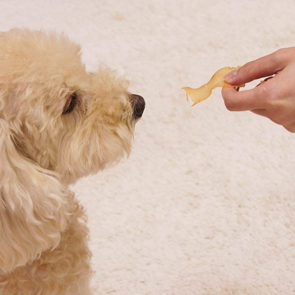 まとめ買い ドギーマン 無添加 ふわふわ満足ささみ 40g ×24 WWW_GEBZETESISAT_COM_TR