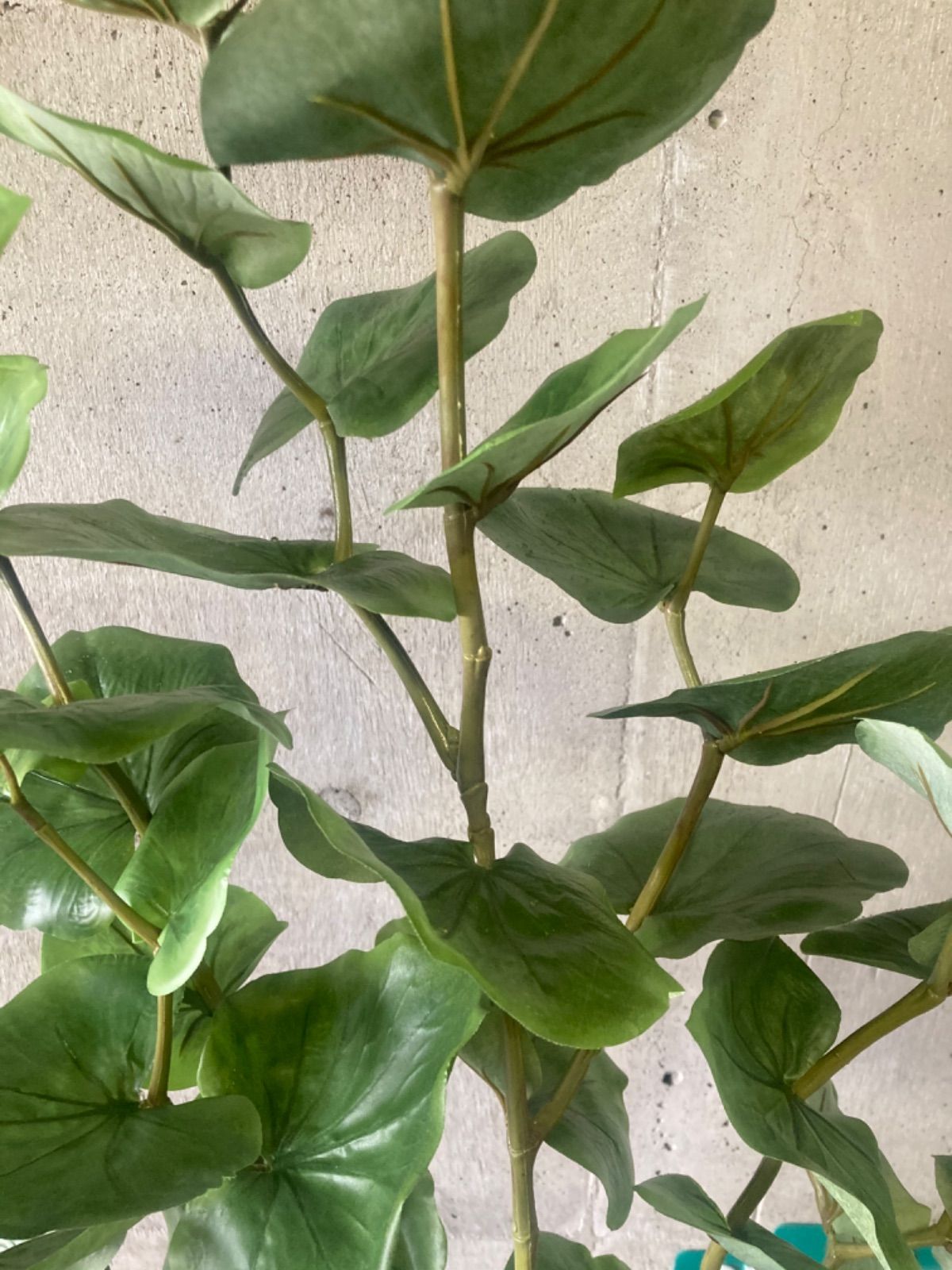 光触媒 人工観葉植物 ウォールグリーン フェイクグリーン シーグレープ