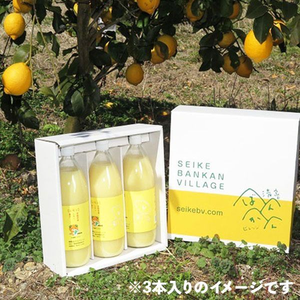 愛媛 レモン果汁 1000ml 6本セット まとめ買い ストレート果汁100%・愛媛県愛南町産レモン使用【果汁100%】レモネードやレモン水・料理・お菓子・お酒などにご使用ください｜ご家庭用・業務用にも