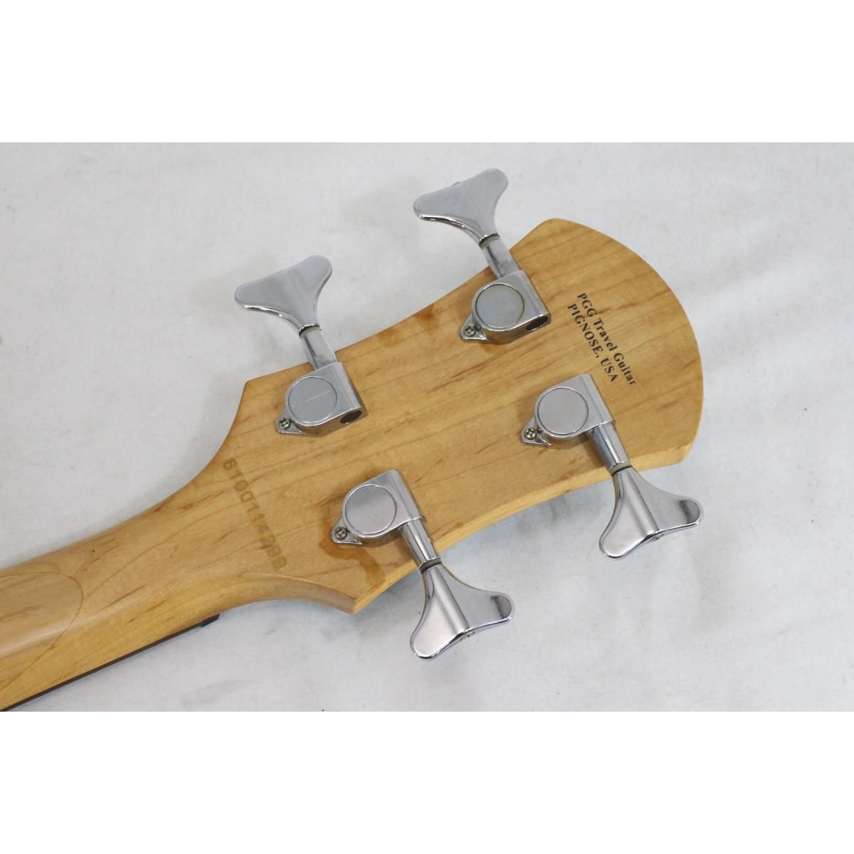 ＰＩＧＮＯＳＥ ＰＧＢ－２００
