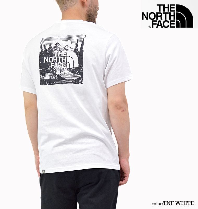 THE NORTH FACE レッドボックスセレブレイトTシャツ 半T海外限定