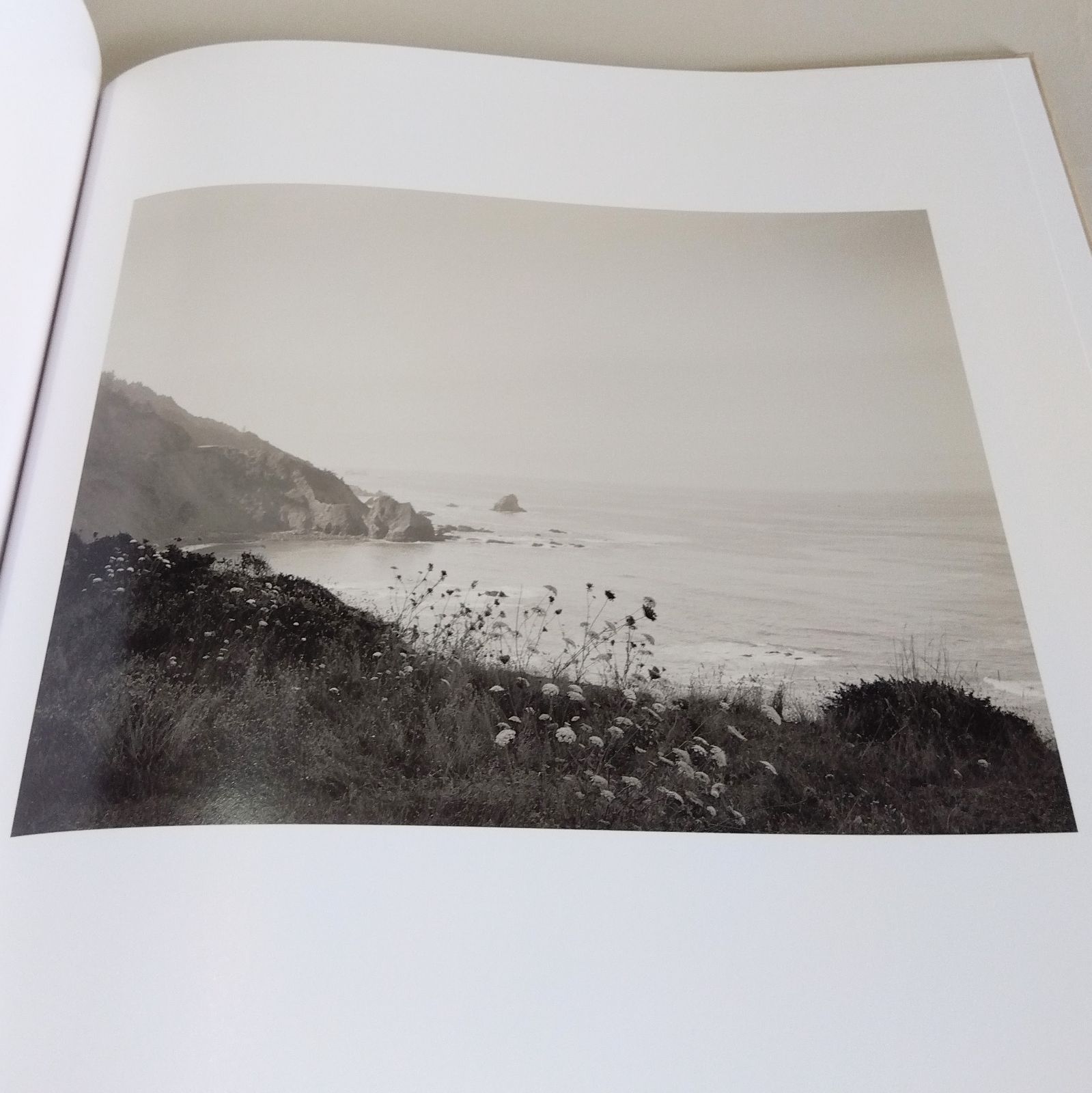 Richard Rothman: Redwood Saw Redwood Saw | with Portrait Photographers