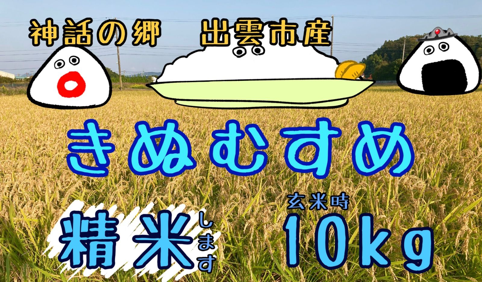 きぬむすめ 精米 〔玄米時〕約10㎏