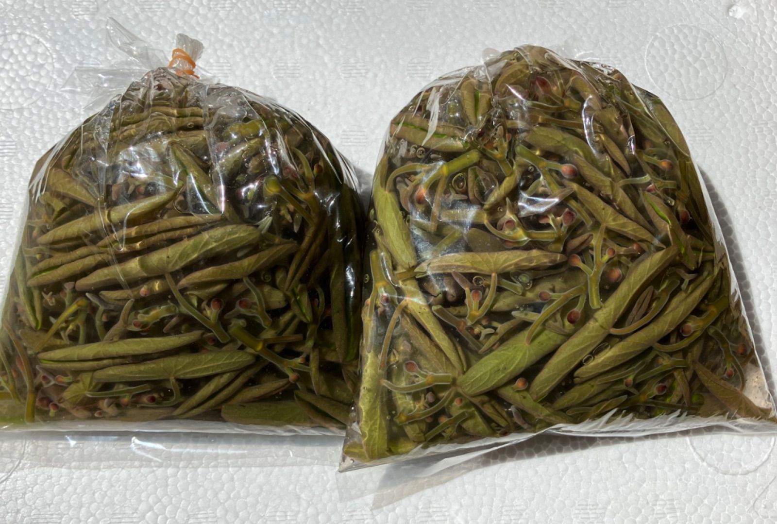 三重県産じゅんさい5キロ　クール着払い 三重県産 じゅんさい 5キロ クール着払い