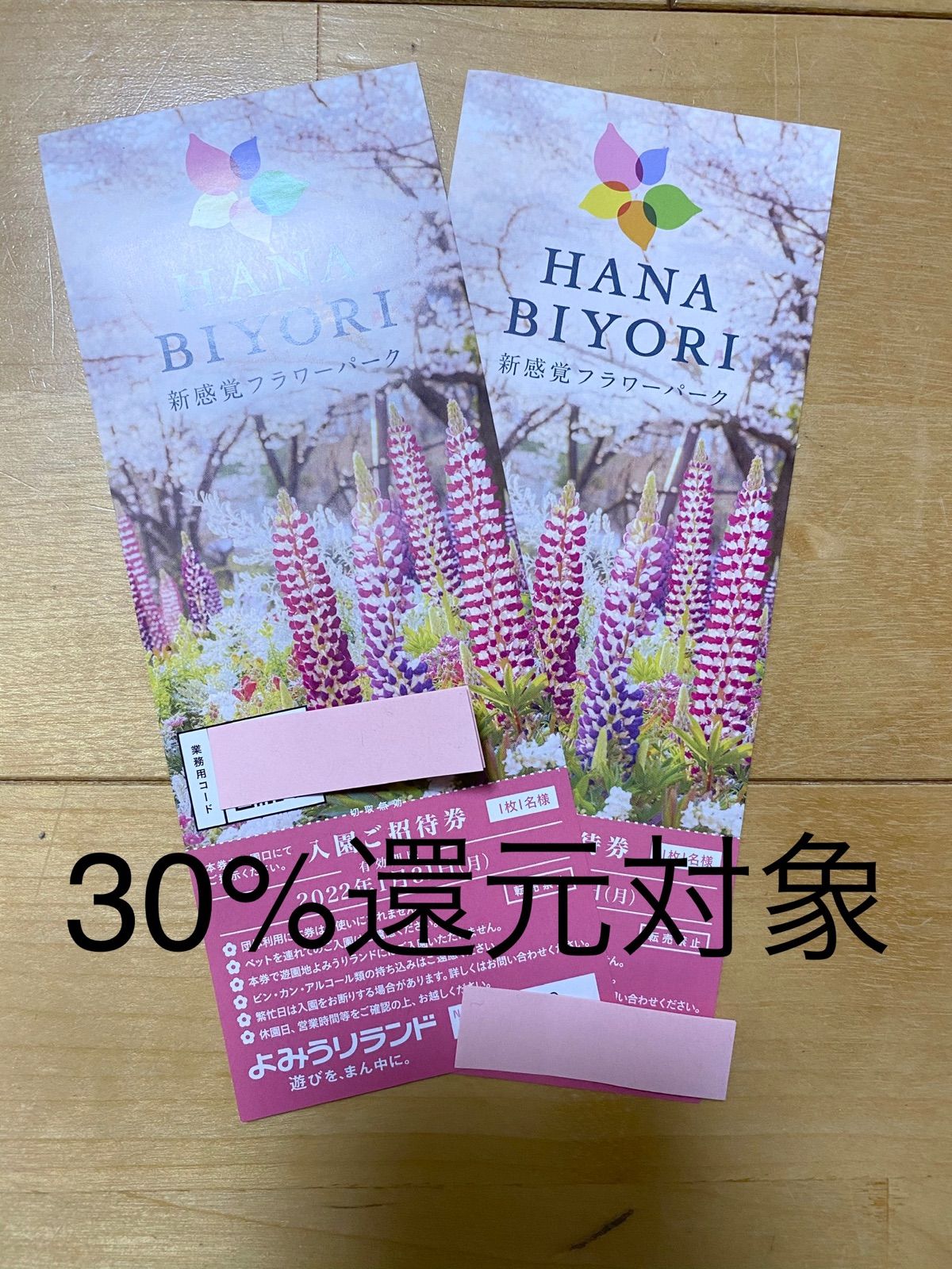 ★HANA・BIYORI（ハナビヨリ）入園ご招待券(お土産20%オフ付き)２枚★