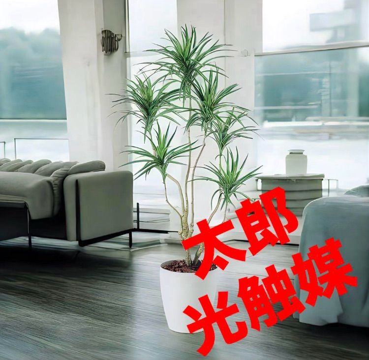 光触媒　人工観葉植物　ウォールグリーン　フェイクグリーン　コンシナトリコロル14 光触媒 人工観葉植物 ウォールグリーン フェイクグリーン コン