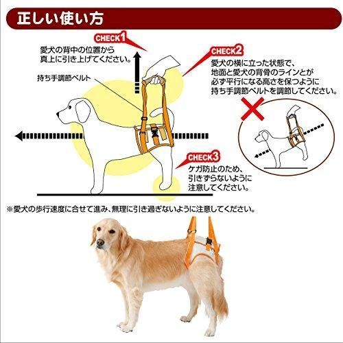 老犬介護用