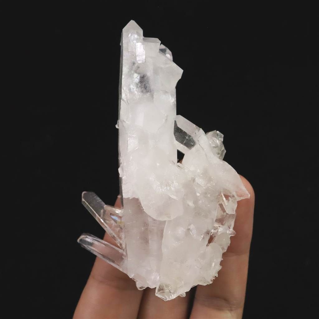 84.8ｇ