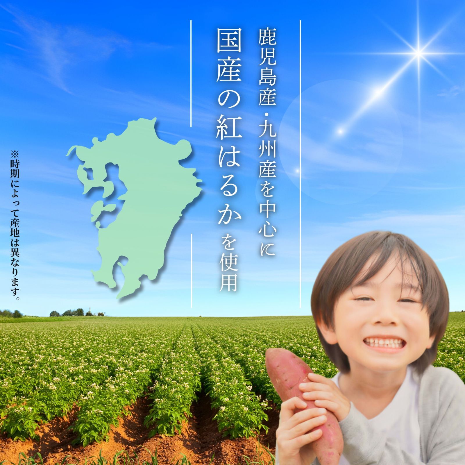 鹿児島県産 熟成 さつまいも 冷凍 焼き芋 2種【紅はるか/安納芋】1kg 無添加 蜜芋  さつまいも 干し芋 好きに 訳あり 美味しい 【冷凍】