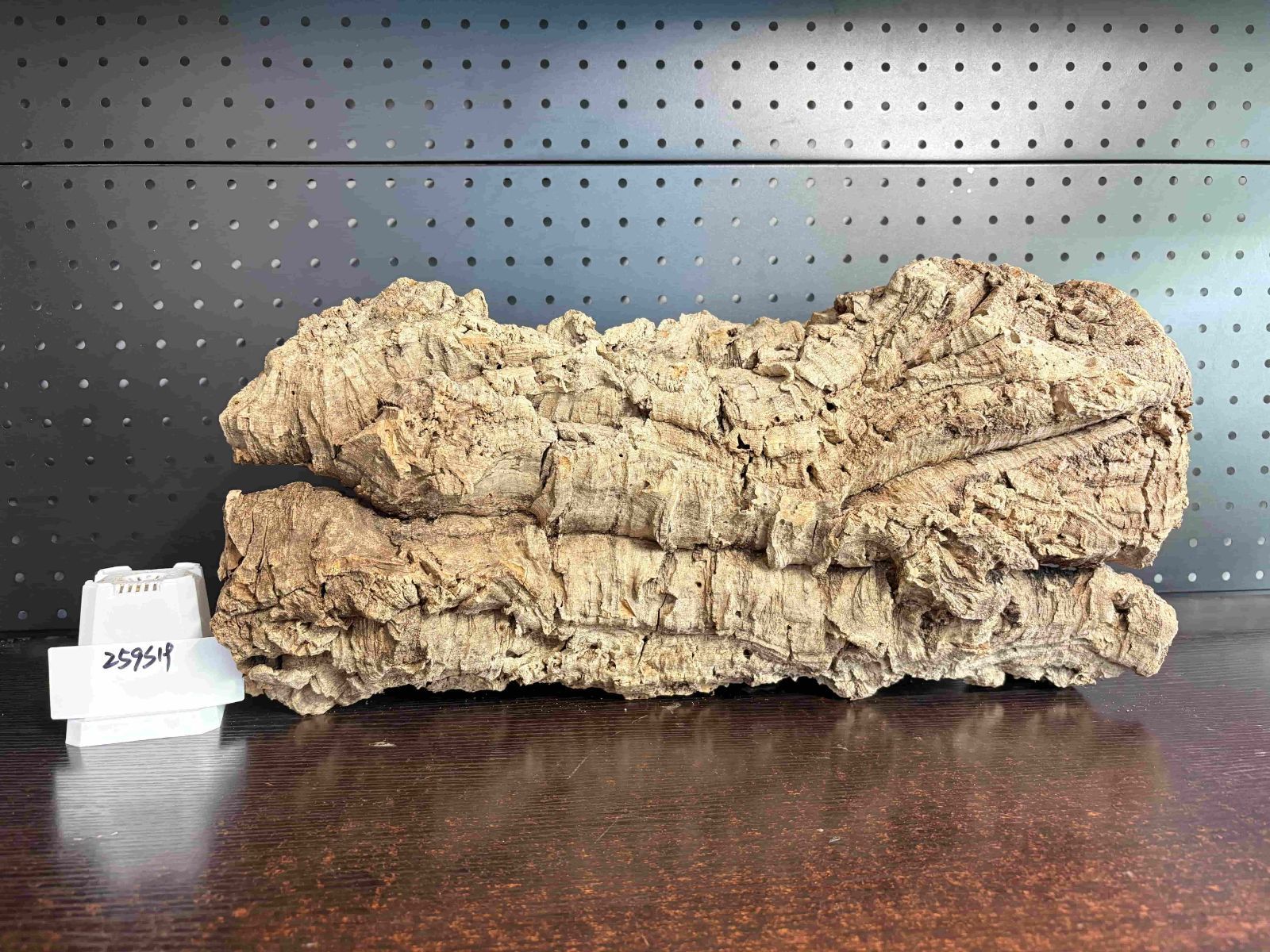 キャノンコルク コルク樹皮