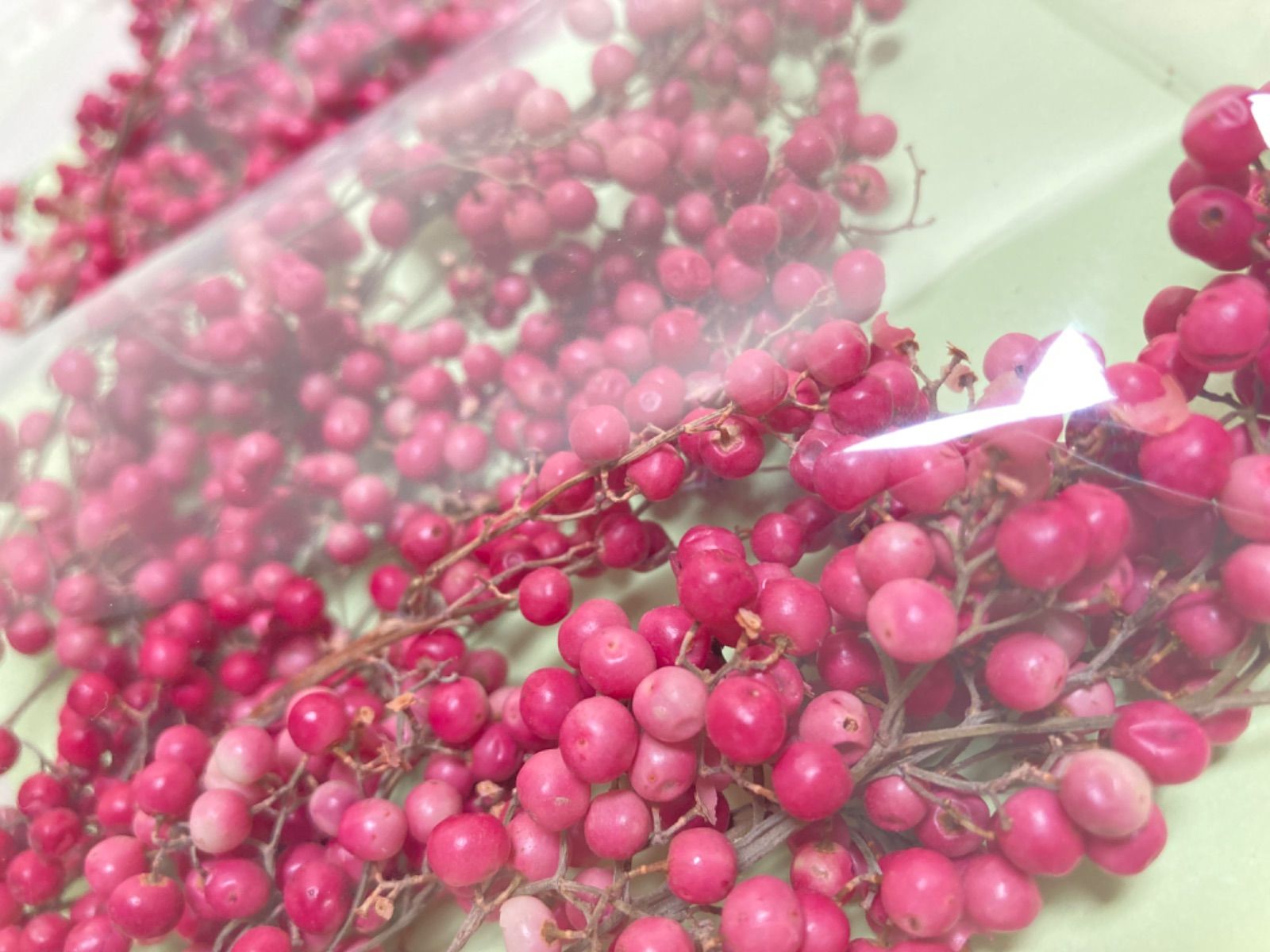 ドライフラワー ナチュラル ピンク ペッパーベリー 50g 小分け