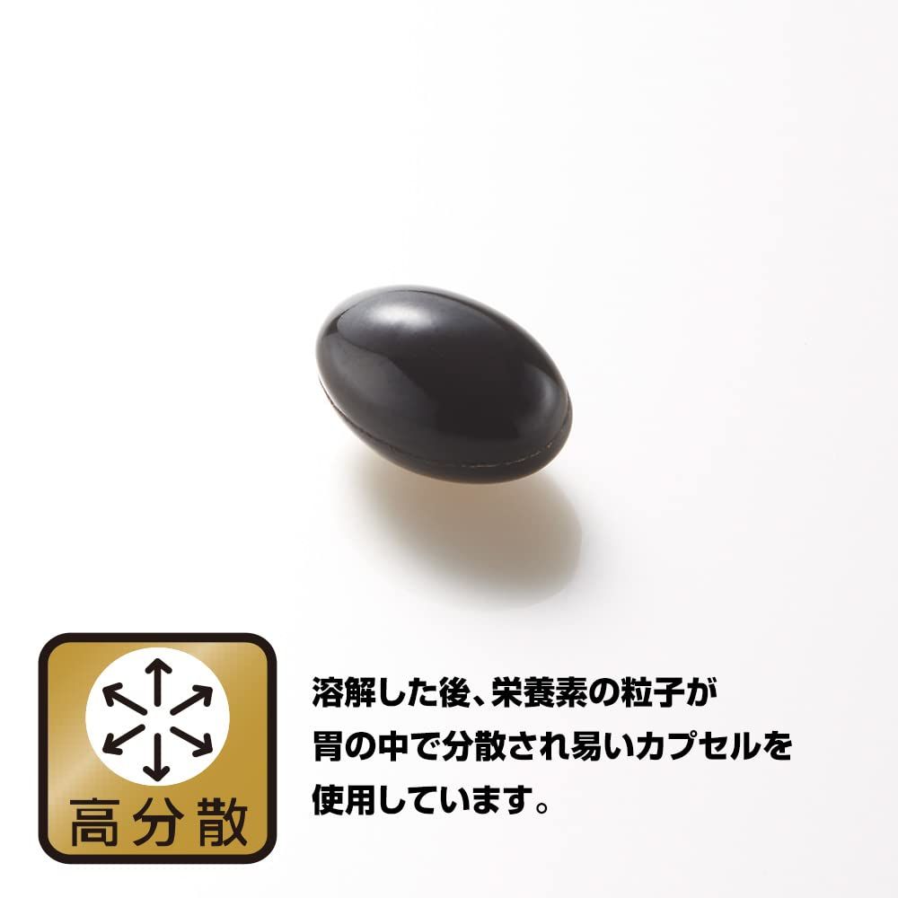 510mg×60粒