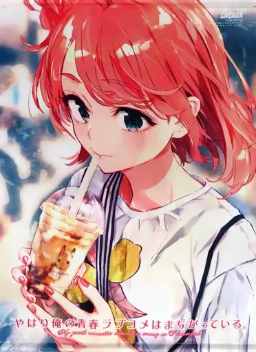 中古】タペストリー たぴおかイラスト B2タペストリーコレクション 24