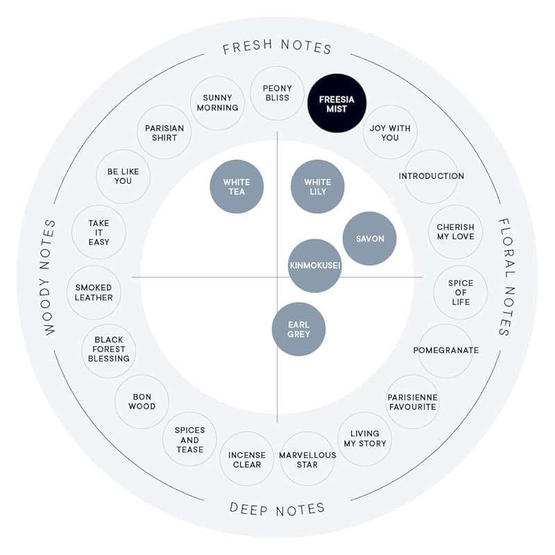  SHIRO PERFUME SIA MIST オードパルファン 100 mL 香水 1 男性情報誌 雑誌